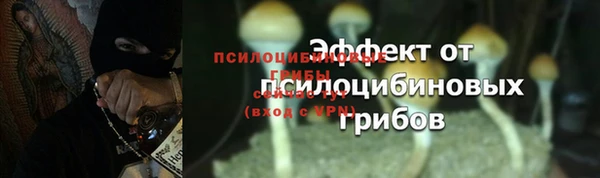 прущая мука Арсеньев