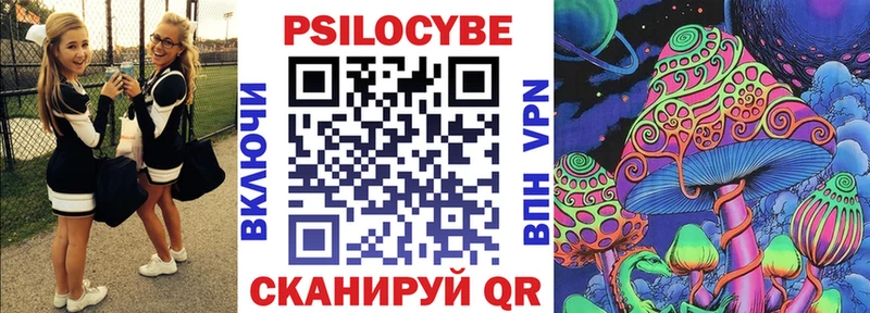 Купить где  Каменск-Шахтинский  Галлюциногенные грибы мицелий 