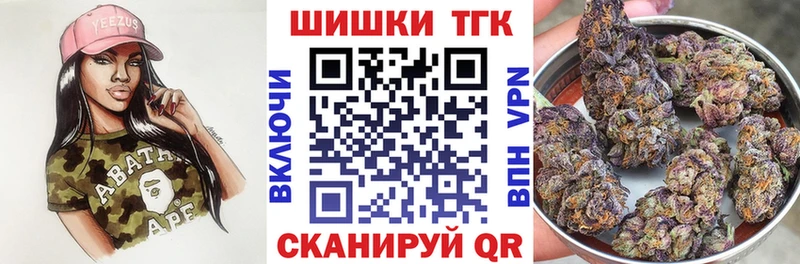 Канабис сатива Купить где Каменск-Шахтинский